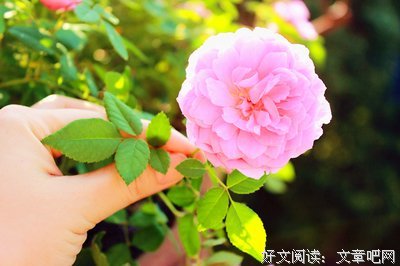 悟句子