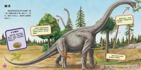 《白垩纪》读后感1000字