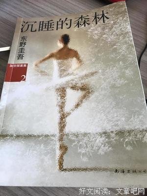 沉睡的森林读后感摘抄