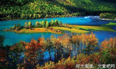《阿勒泰的角落》经典读后感有感