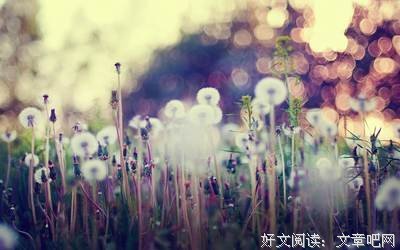 感言的句子