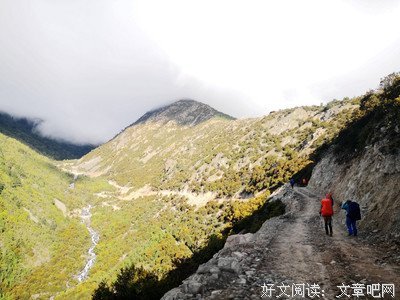 八月元气满满