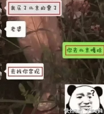 不爱群聊的人