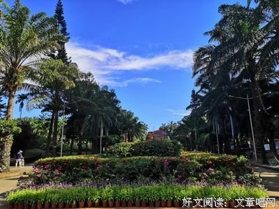 《蝴蝶公墓》经典影评1000字