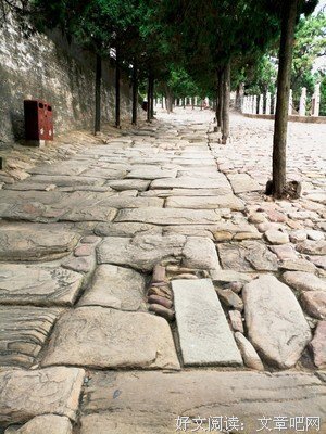 《风追司马》经典观后感有感