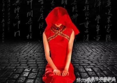 落雁公你有名言大全