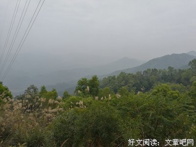 最新的《宁生，你不来，我不个下带好而以》名句欣赏