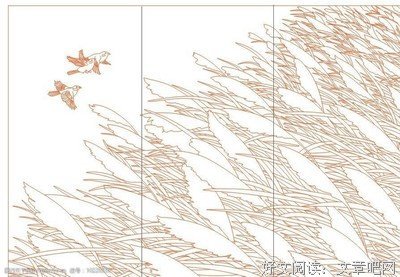 《玻璃芦苇》经典观后感1000字