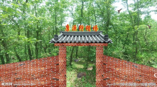 《狩猎场》经典影评集