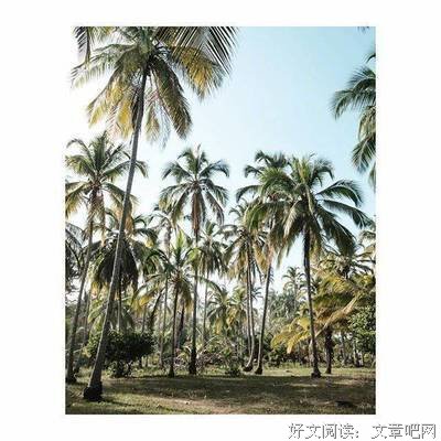 盗墓小句子