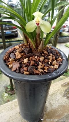 择人先择心，交友要交诚