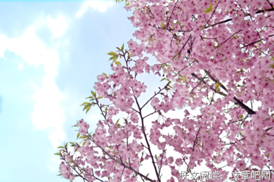 悠游时光经典名句