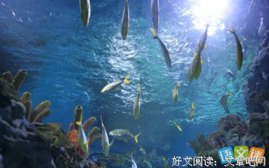 海底两万里读后感锦集