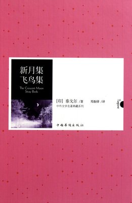 《飞鸟集》读后感精选