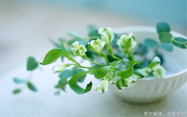 承诺是不容打折的