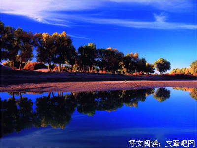 关于绚丽多彩的名言