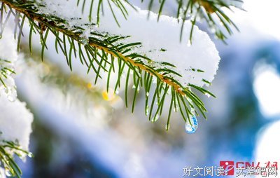 关于迷茫的名句摘抄