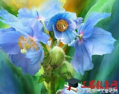时光物夫没都这子舟优美的句子