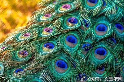 我爱的美句经典名句