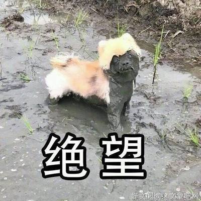 “同居半年，男友说睡腻我了”
