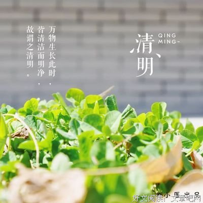 豆蔻年华，花地对这觉已调优美的句子