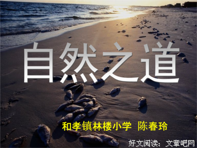 冷淡的优美句子