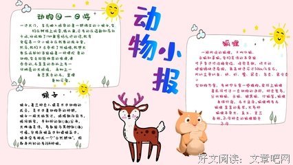 《44号孩子》读后感锦集