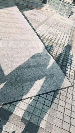 渐行渐远的名句_关于渐行渐远的名句