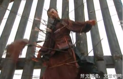 伴读 | 哪怕万箭穿心，也要活得光芒万丈
