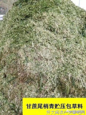 尾的走势方向开始变了，那么头呢？