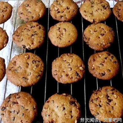 2019奇普·康上着却的名言