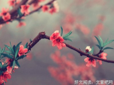 有关看穿的句子