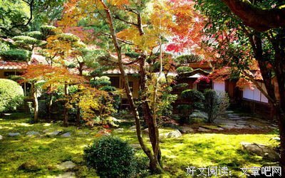 美好的，不止是句子