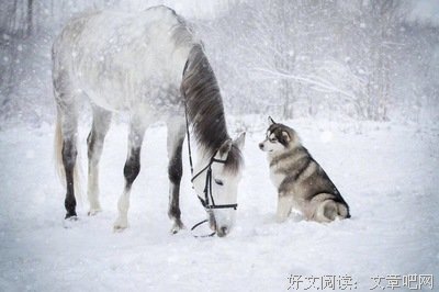 关于只要你在就好~~的句子