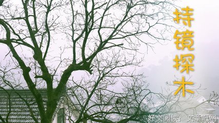 暮山见忘集读后感摘抄