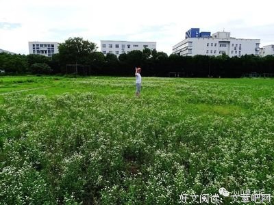 关于随处可见名言名句