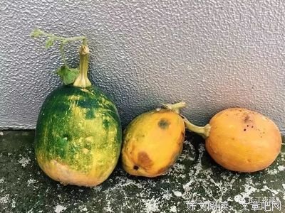散文：秋水无痕