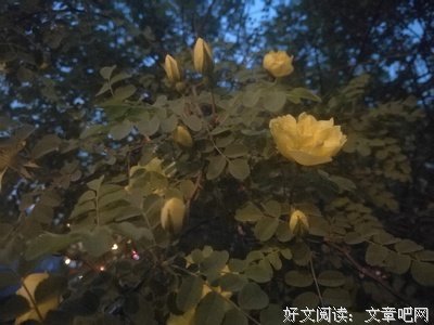 《潋滟》的句子