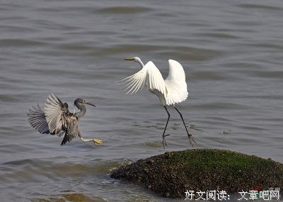 与他狭路相逢