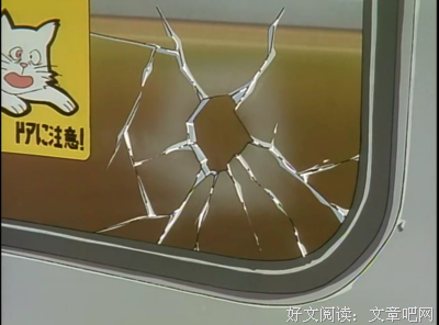 《老师与流浪猫》经典观后感1000字