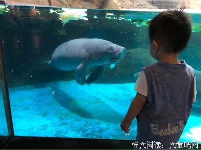 《新爱情乐园》经典观后感集