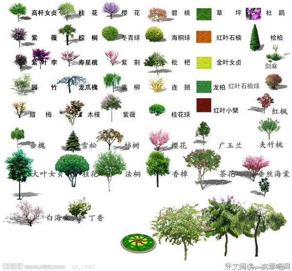 用这种方式追女孩，只能得到同情，无法得到爱情 