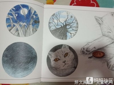 猫婆婆读后感100字