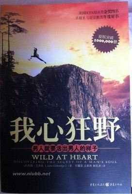 《我心狂野》经典读后感有感