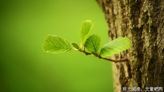 事情的反面未必反 