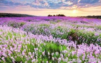 描写为数不多的经典句子