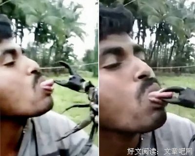 痛不欲生的语句摘抄_关于痛不欲生的语句