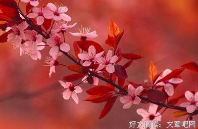 不厌其烦的名人名言