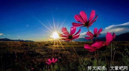 累赘的名人名言