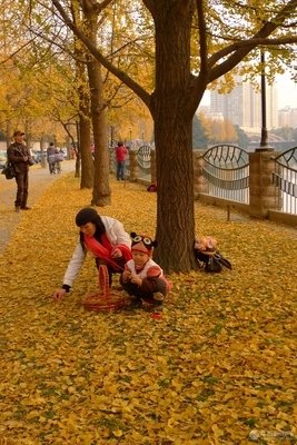 叶趣开衫（二）